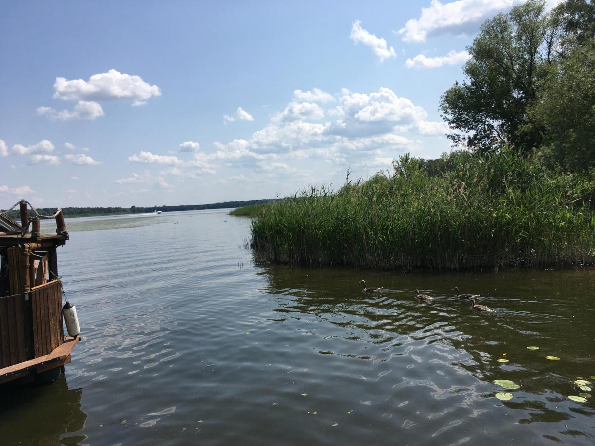 Das Naturfloss - Biberspur Brandenburg  Exteriör bild