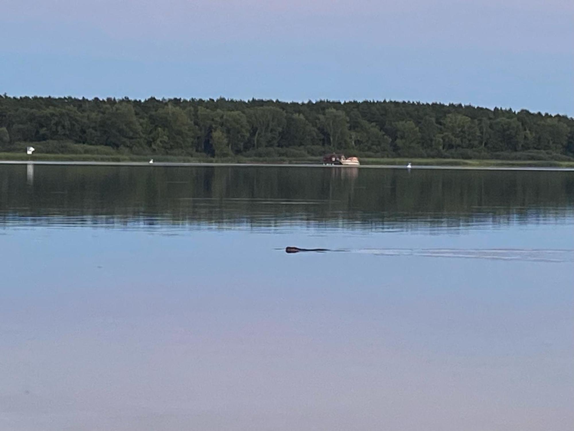 Das Naturfloss - Biberspur Brandenburg  Exteriör bild